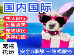 云冈机场快递国际宠物托运 【国